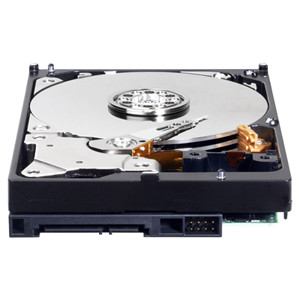 Western Digital Blue 5TB 3.5" SATA3 5400RPM 64MB (WD50EZRZ) PC