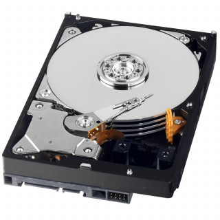 Western Digital AV-GP 1TB 3.5" SATA3 IPOW 64MB (WD10EURX) PC