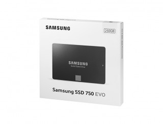 Samsung 750 EVO 2.5" 250GB MZ-750250BW PC