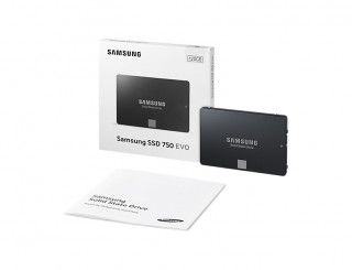 Samsung 750 EVO 2.5" 120GB SATA 3 MZ-750120BW PC