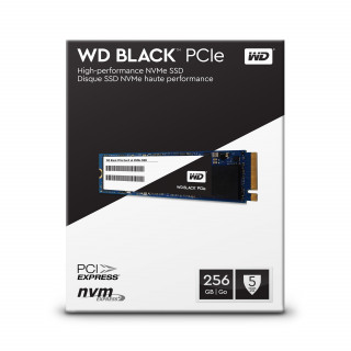 Western Digital Black 256GB SSD (WDS256G1X0C) PC