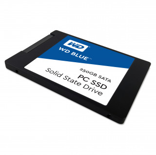 Western Digital Blue 250GB (WDS250G1B0A) PC