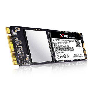 ADATA 256GB M.2 2280 (ASX6000NP-256GT-C) SSD PC