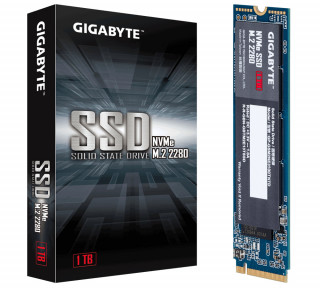 Gigabyte 1TB M.2 2280 NVMe GGP-GSM2NE3100TNTD PC