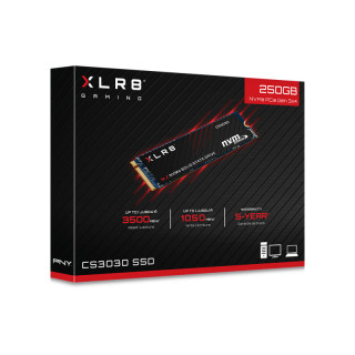 PNY SSD XLR8 CS3030 250GB M.2 PCIe NVMe, 3500/1050 MB/s PC