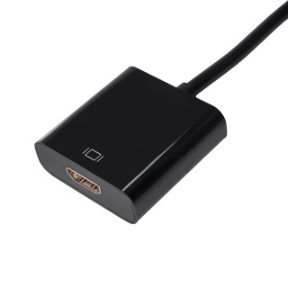 Akyga AK-AD-11 HDMI-F/DisplayPort-M PC