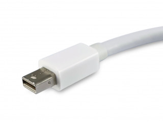 Equip 133440 video átalakító kábel 0,15 M Mini DisplayPort DisplayPort Fehér PC