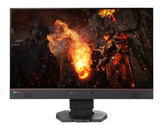 EIZO FS2434-BK 23" IPS PC