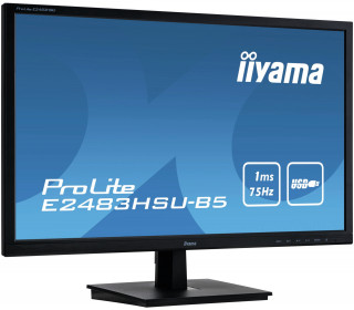 Iiyama ProLite E2483HSU-B5 24" PC