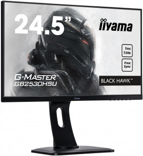 Iiyama GB2530HSU-B1 Gaming 25" PC