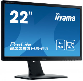 Iiyama ProLite B2283HS-B3 21.5" PC