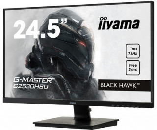 Iiyama G-Master G2530HSU-B1 Black Hawk [24.5", TN] PC