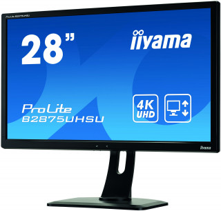 Iiyama B2875UHSU-B1 [28", TN] PC