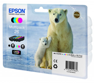 Epson 26 (T2616) - Multipack PC