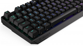 Endorfy Thock TKL RGB Kailh Red Switch Mechanikus Billentyűzet - Fekete (EY5E004) PC